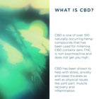Elderflower & Yuzu, Natural 30mg CBD Drink 6 Cans / Buy Now