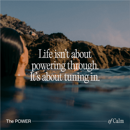 Re:Focus Mixed Wild Berry