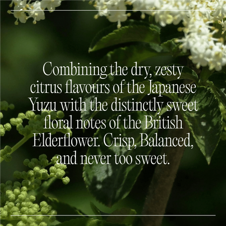 CBD Elderflower & Yuzu