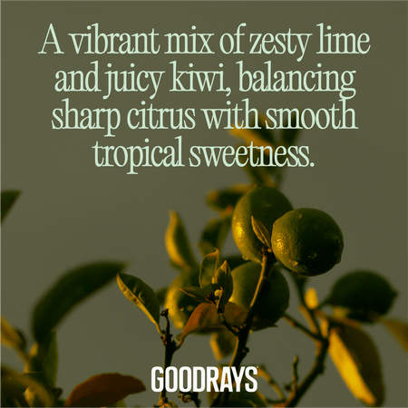 Re:Focus Zesty Lime & Kiwi