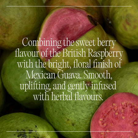 CBD Raspberry & Guava