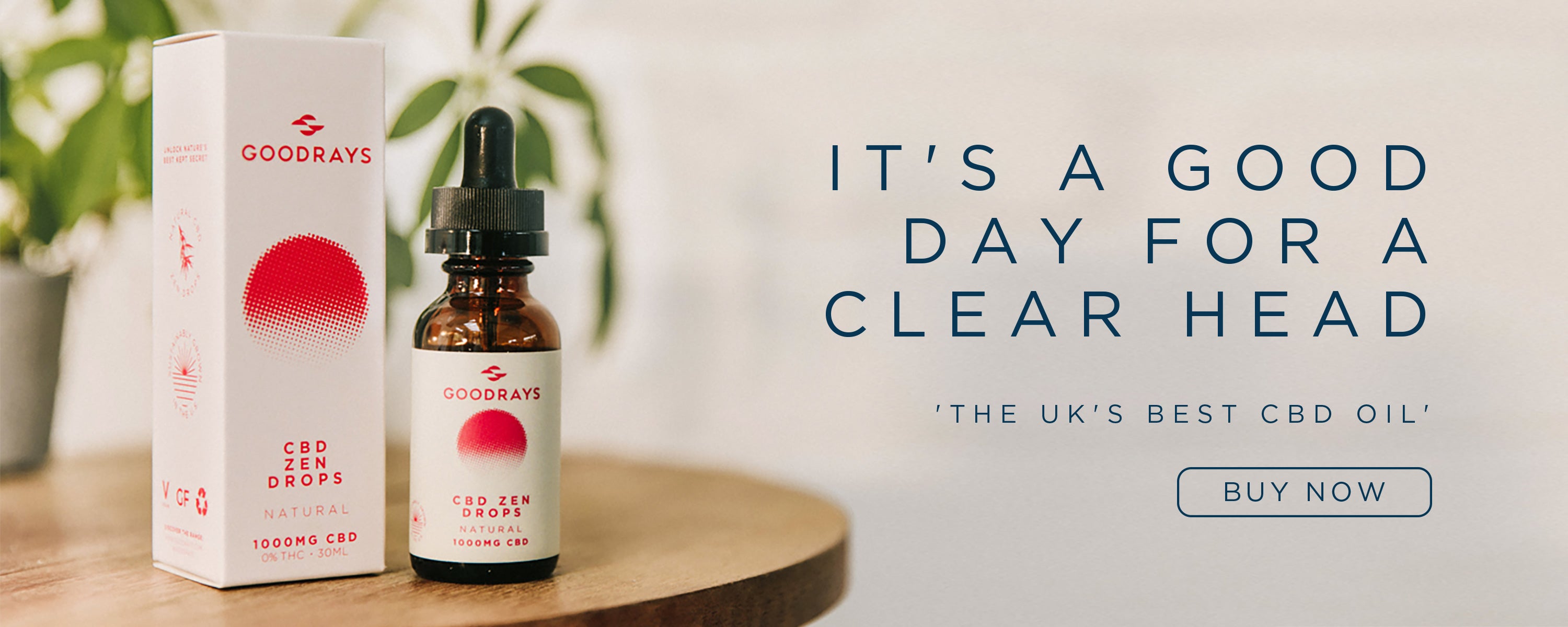 Goodrays 24 Pack CBD DRINKS, OILS & EDIBLES | Goodrays UK Online Shop