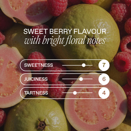 CBD Raspberry & Guava